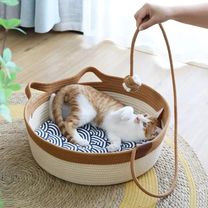 all dogs products all cats products all small animal products