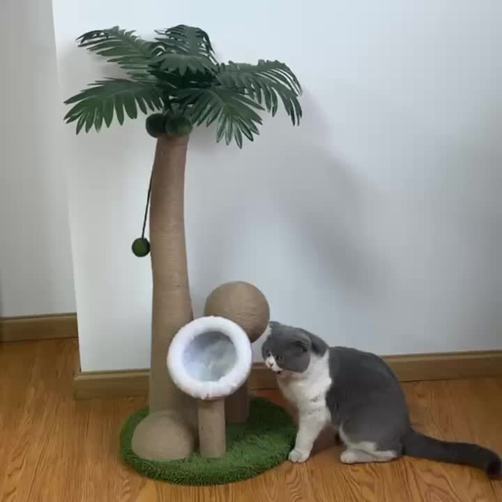all dogs products all cats products all small animal products