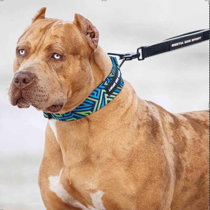 all dogs products all cats products all small animal products