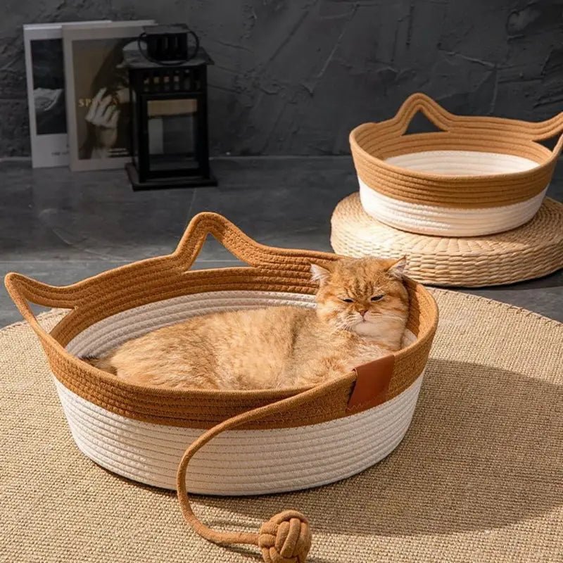 all dogs products all cats products all small animal products
