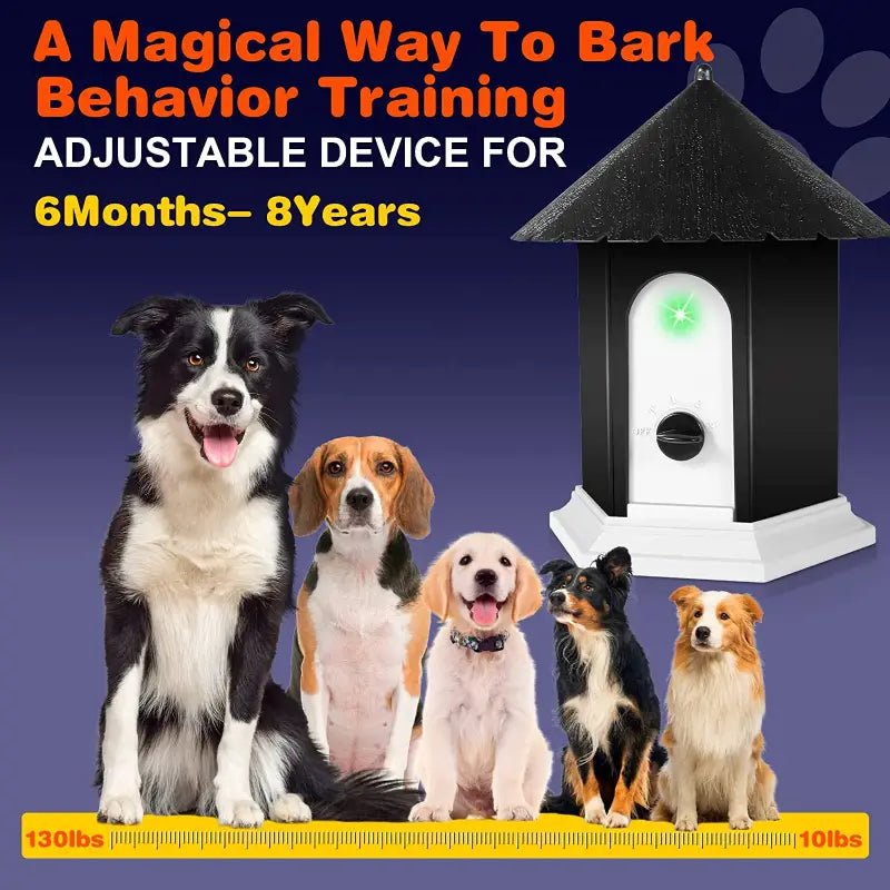 all dogs products all cats products all small animal products