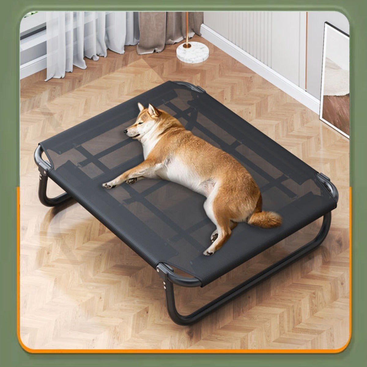 all dogs products all cats products all small animal products