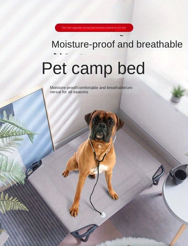 all dogs products all cats products all small animal products