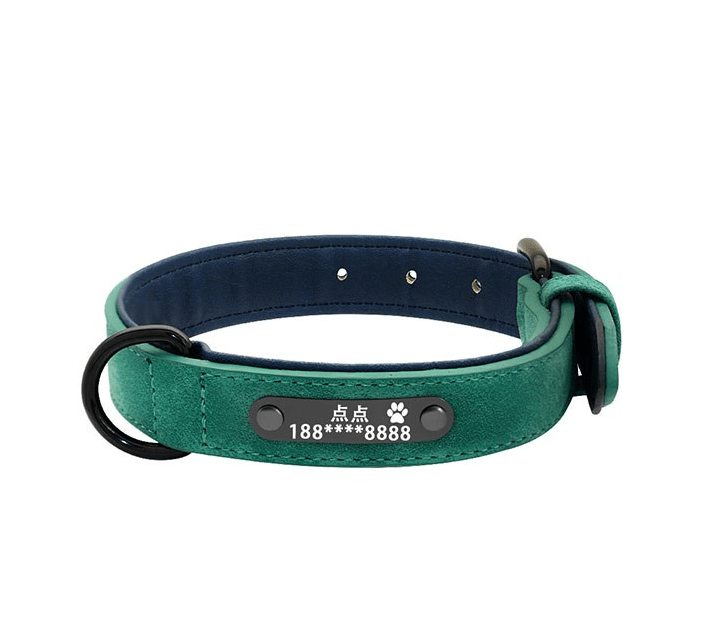 Personalized Pet Identity Card - Stylish And Durable Dog Tag