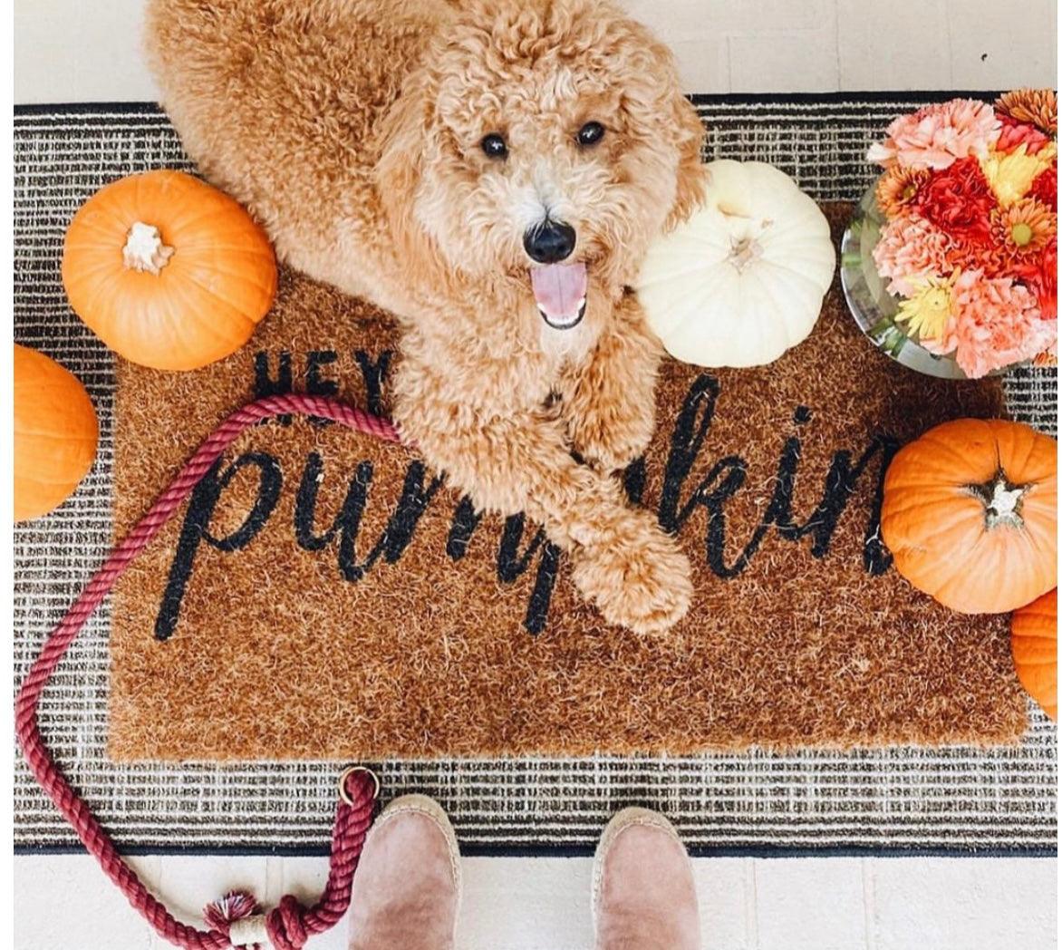 all dogs products all cats products all small animal products