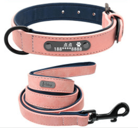 Personalized Pet Identity Card - Stylish And Durable Dog Tag