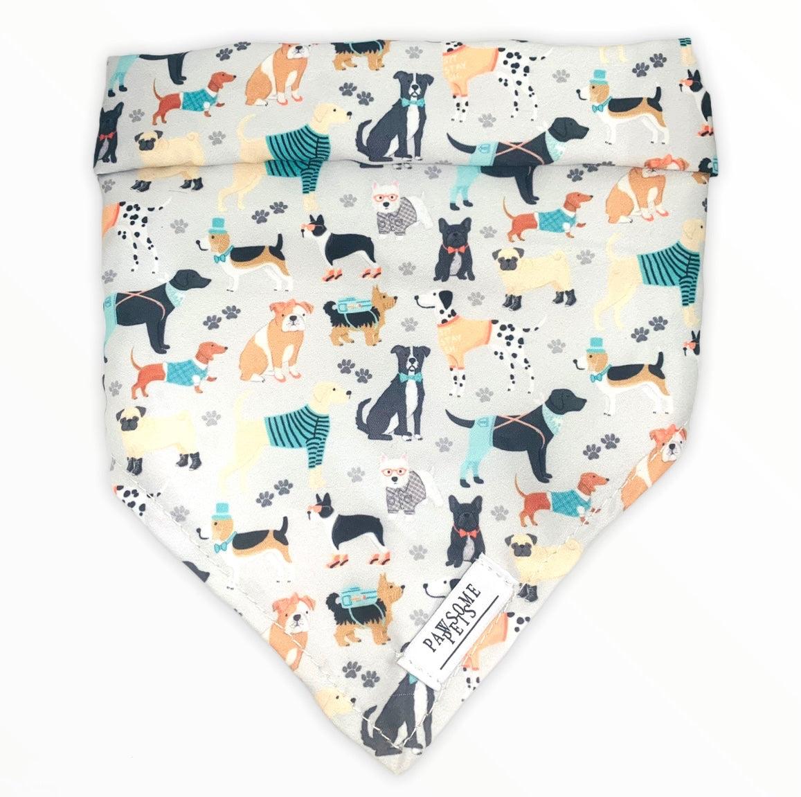 all dogs products all cats products all small animal products