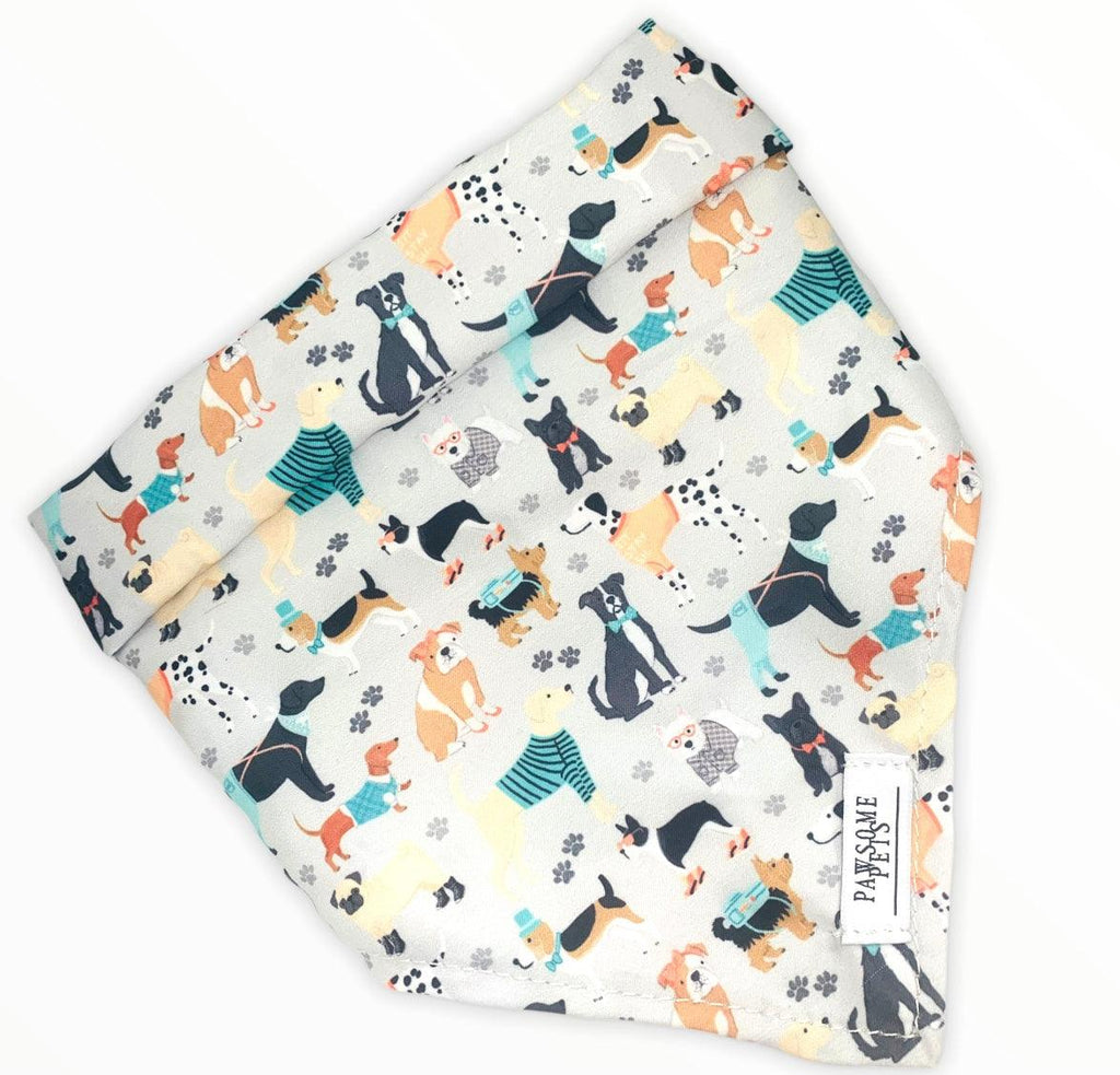 all dogs products all cats products all small animal products