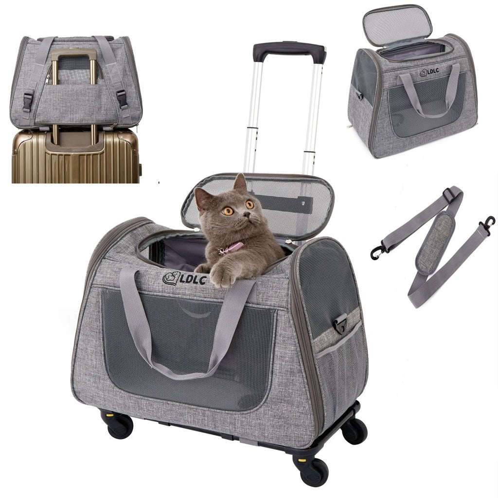 all dogs products all cats products all small animal products