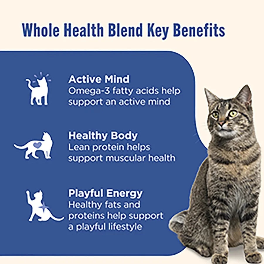 Grain-Free Wet Cat Food for Indoor Cats, Ocean Fish Chicken Flavor, Natural Ingredients with Real Flaked Ocean Fish and Shredde