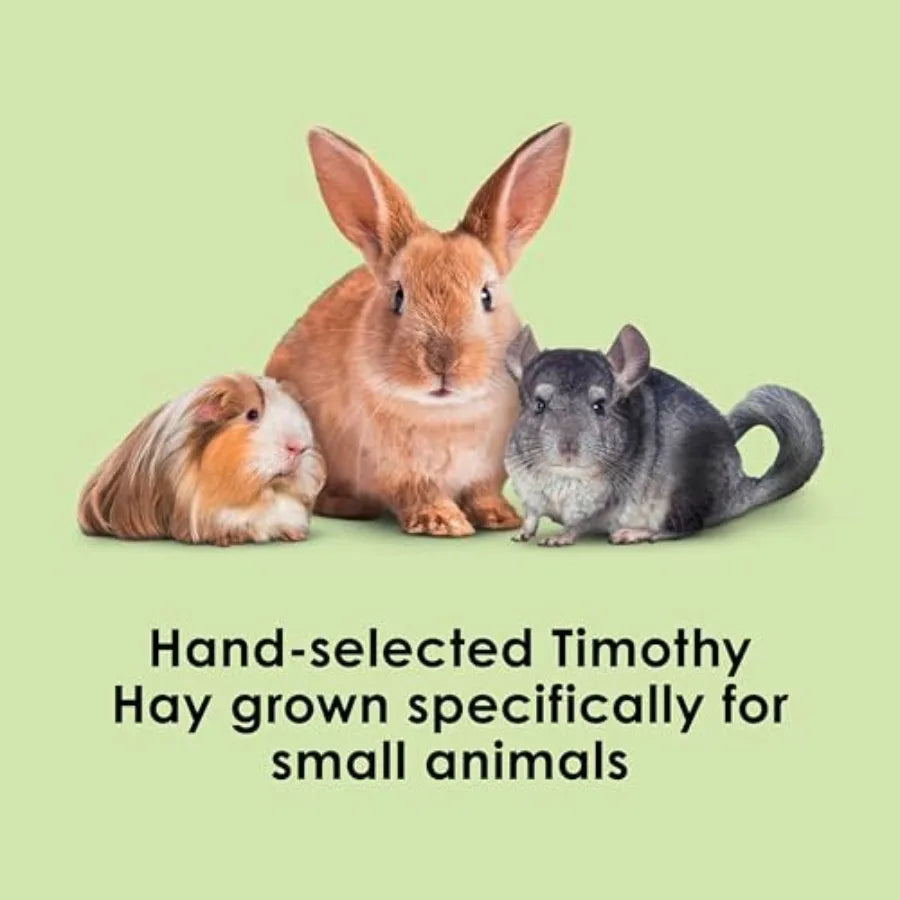 Timothy Hay High Fiber Grown Specifically for Small Animals Rabbits Guinea Pigs Chinchillas Ideal Bulk Order for Small Pets 12