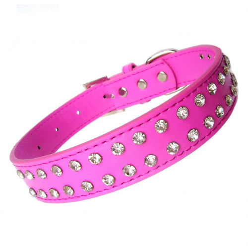 all dogs products all cats products all small animal products