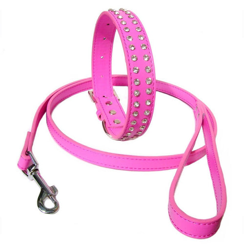 all dogs products all cats products all small animal products