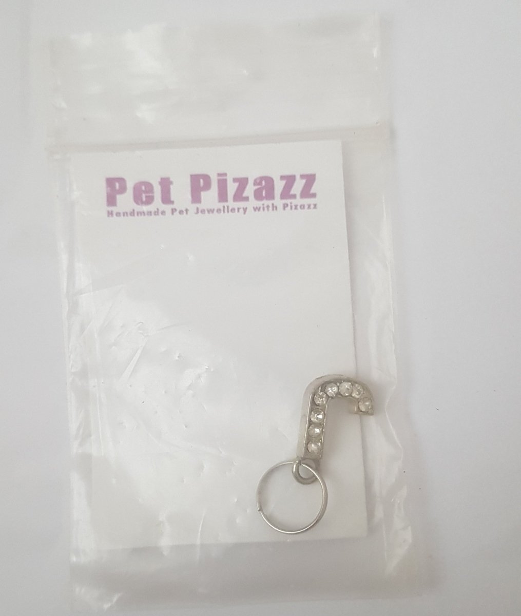 all dogs products all cats products all small animal products