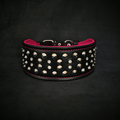 all dogs products all cats products all small animal products