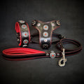 all dogs products all cats products all small animal products