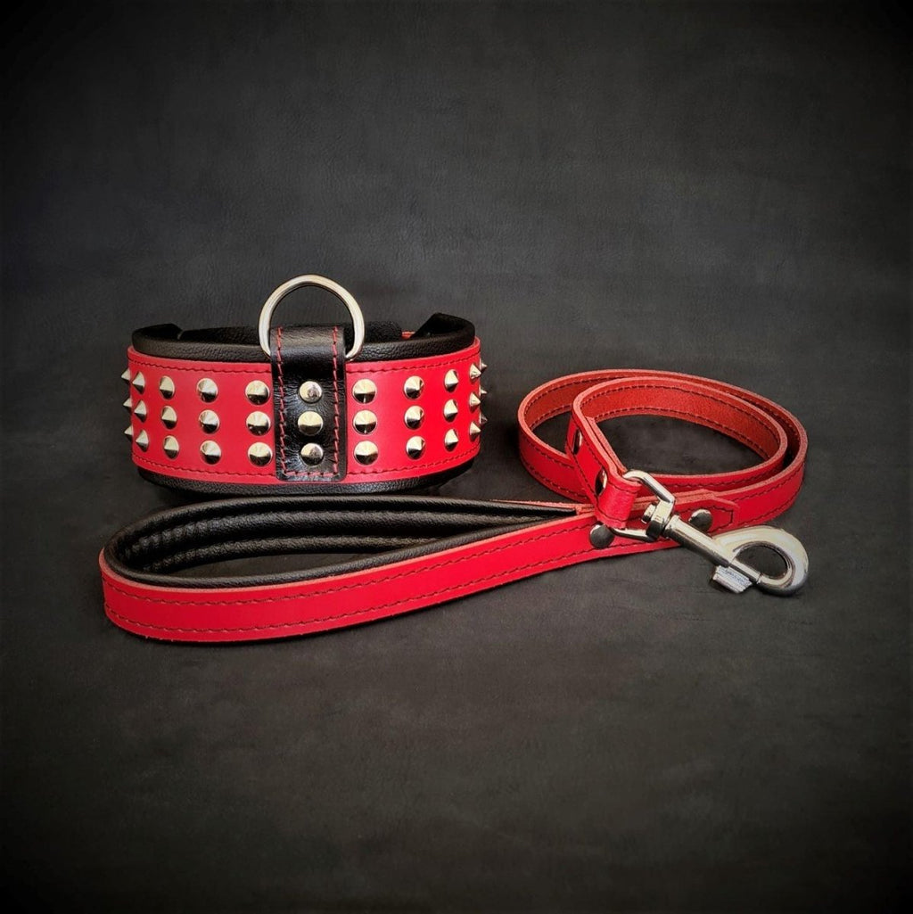 all dogs products all cats products all small animal products