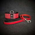 all dogs products all cats products all small animal products