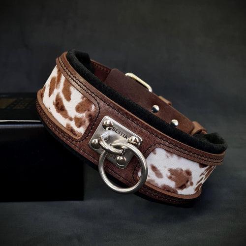 all dogs products all cats products all small animal products
