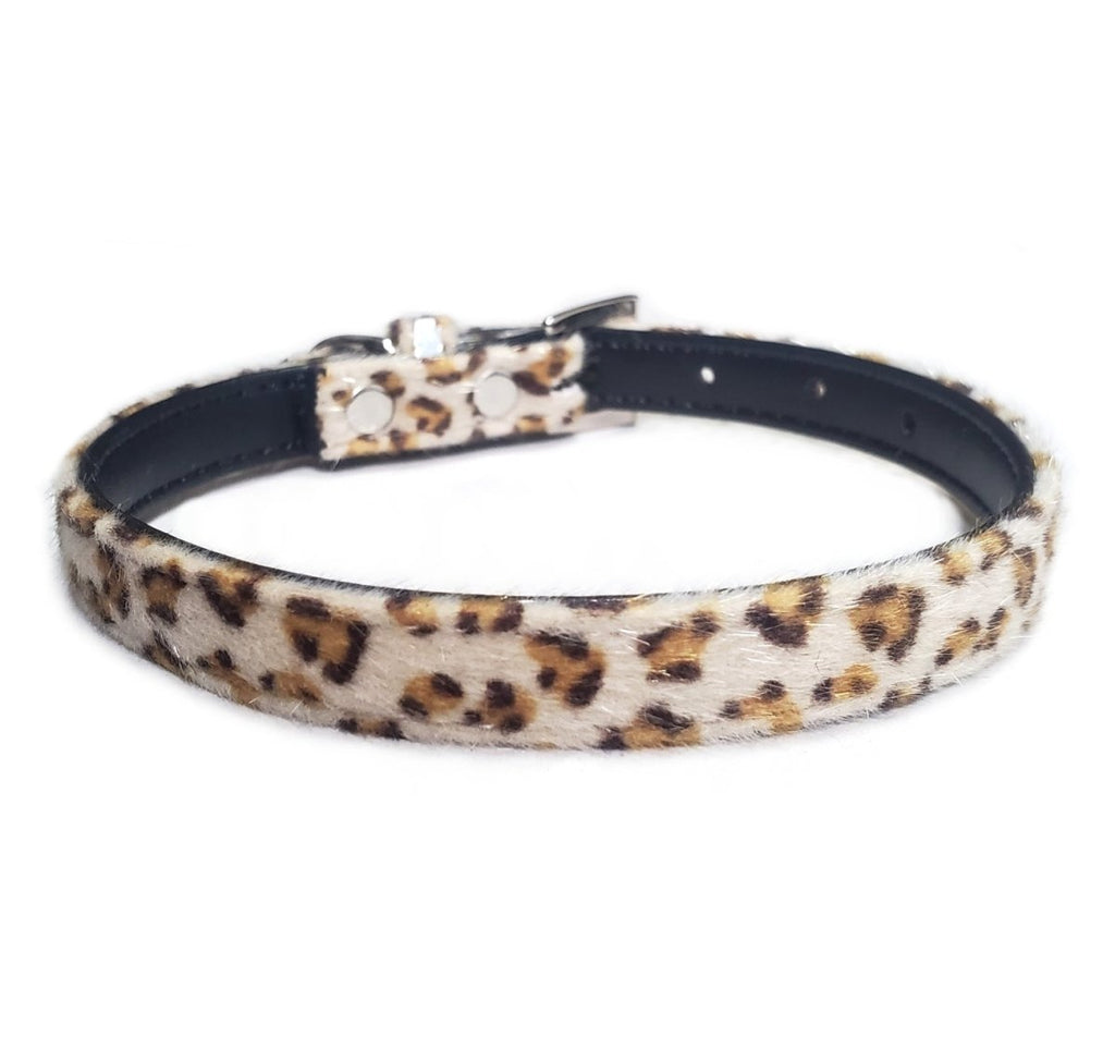all dogs products all cats products all small animal products