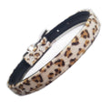 all dogs products all cats products all small animal products
