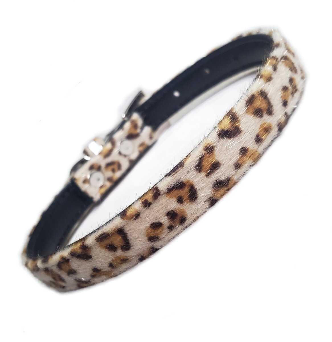 all dogs products all cats products all small animal products
