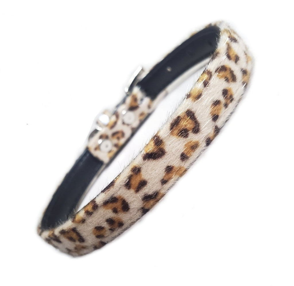 all dogs products all cats products all small animal products
