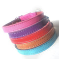 all dogs products all cats products all small animal products