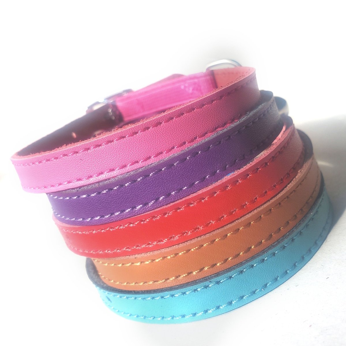 all dogs products all cats products all small animal products