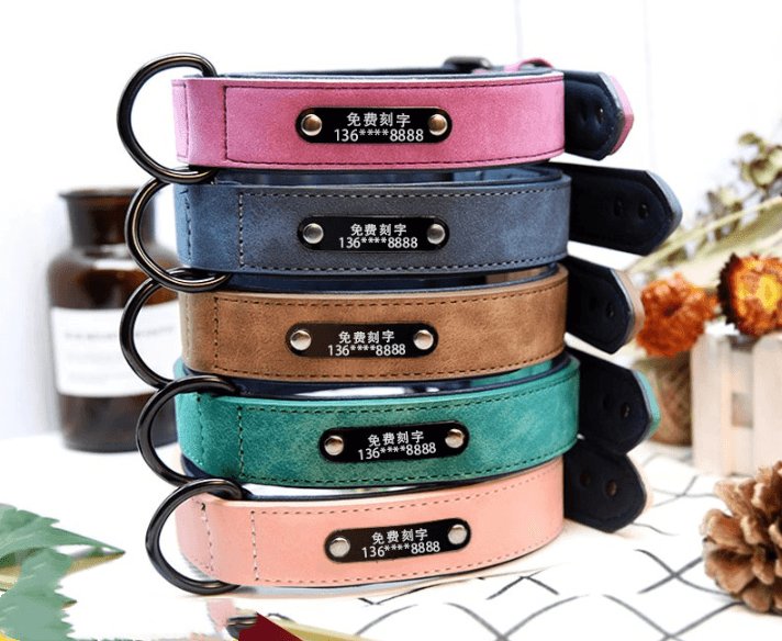 Personalized Pet Identity Card - Stylish And Durable Dog Tag