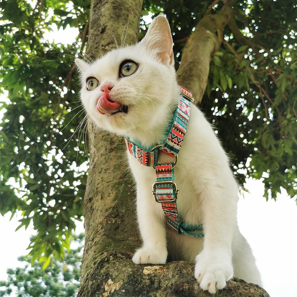 all dogs products all cats products all small animal products