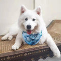 all dogs products all cats products all small animal products