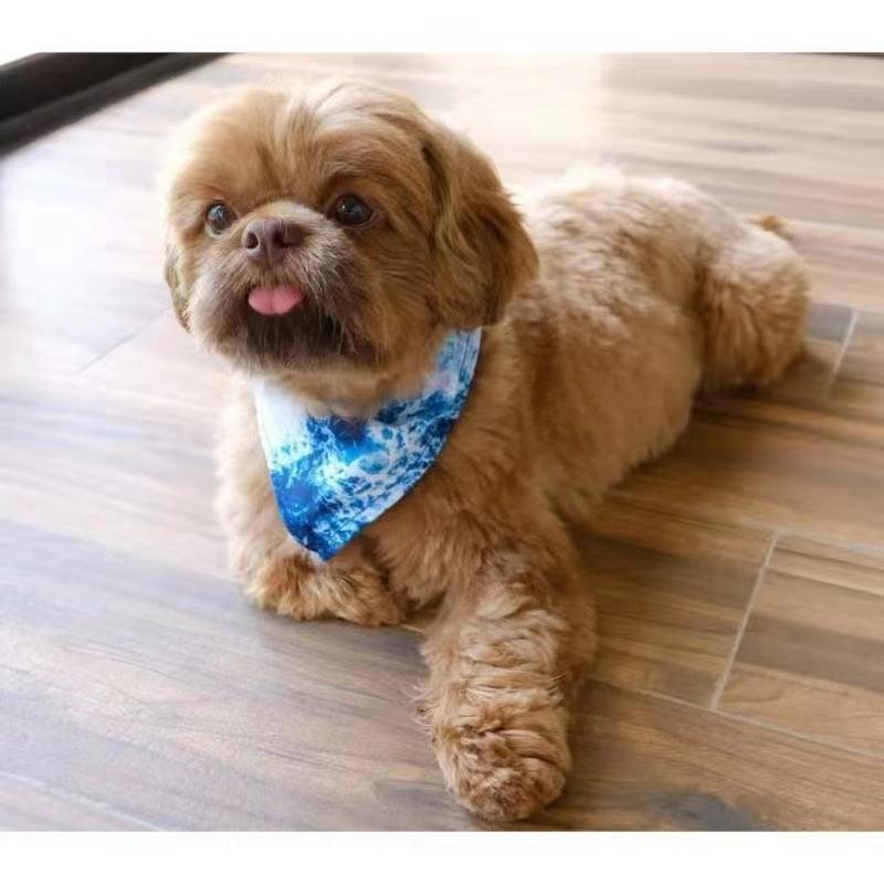 all dogs products all cats products all small animal products