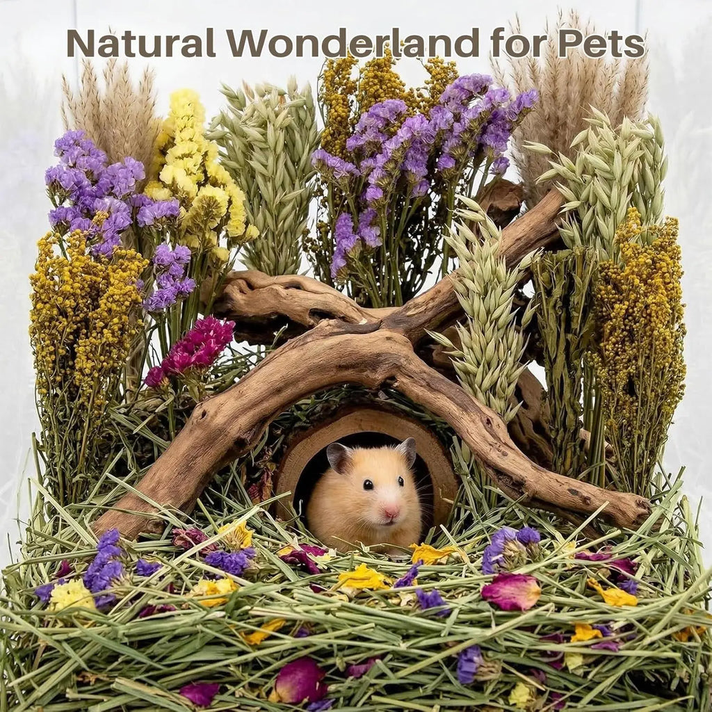 42Pcs Natural Dried Flowers Hamster Bedding Decor - Safe Herbs Sprays for Small Pet Cage Hideout