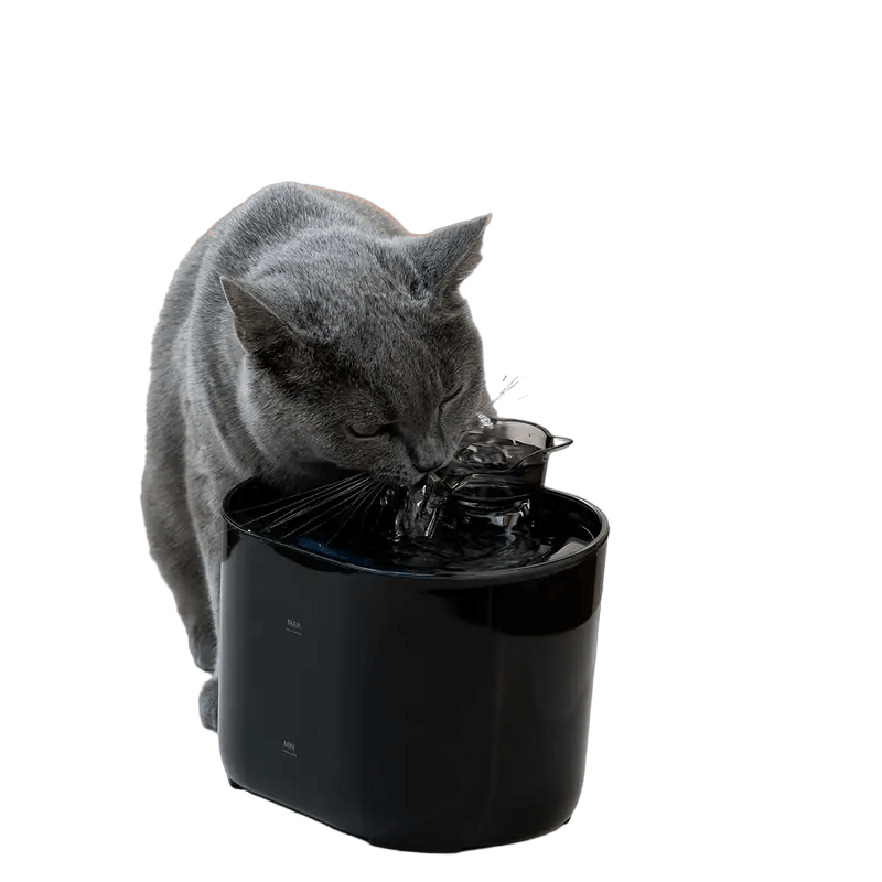 all dogs products all cats products all small animal products