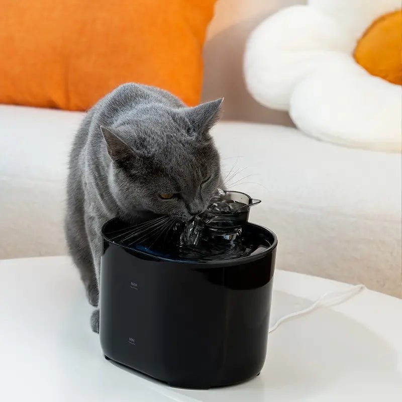 all dogs products all cats products all small animal products