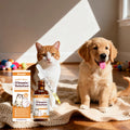 60ml Pet Liquid Drops Vitamins B For Dog Cat Nourishing Vitamins Supplement For Healthy Glossy Fur Reducing Shedding Dog Supplie