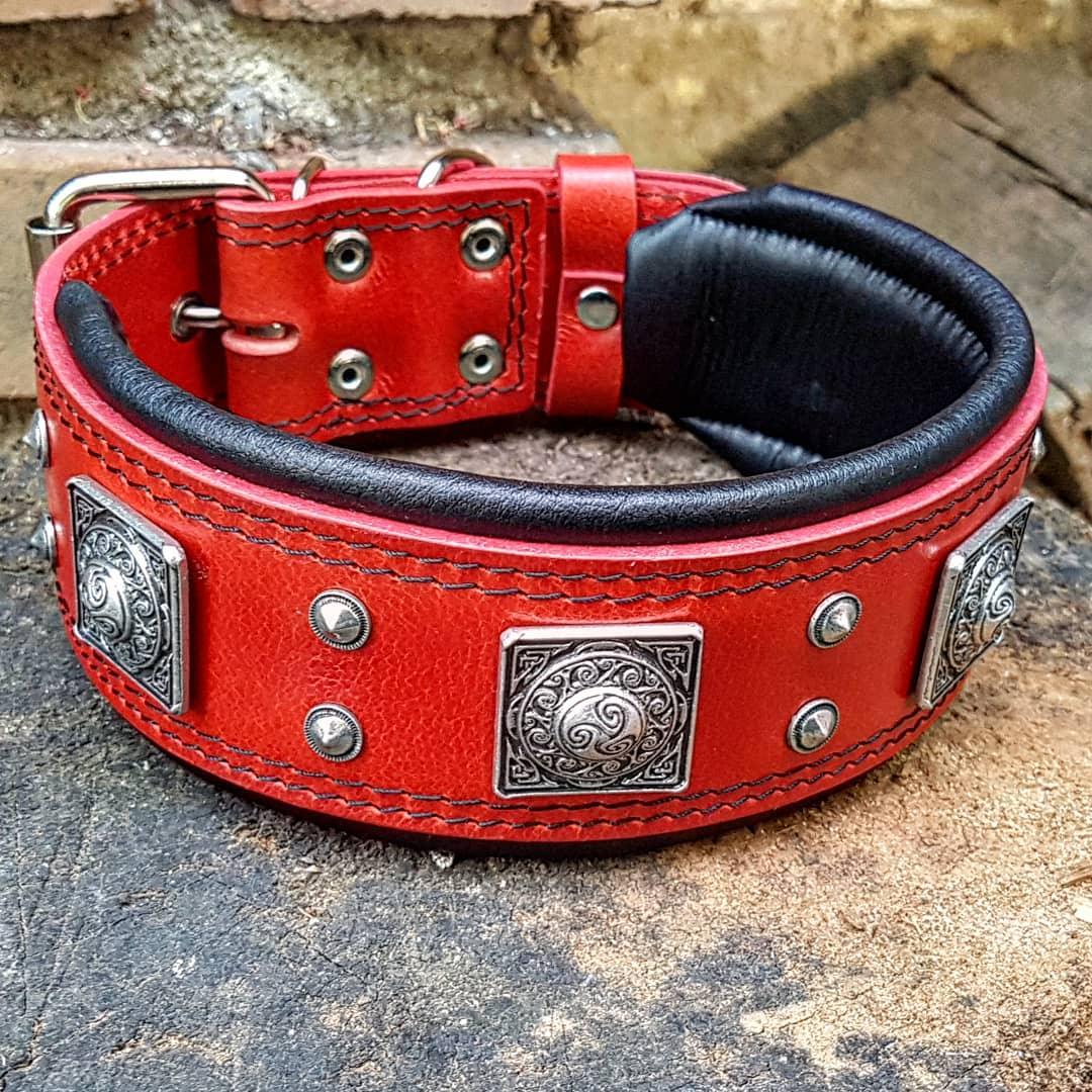 all dogs products all cats products all small animal products