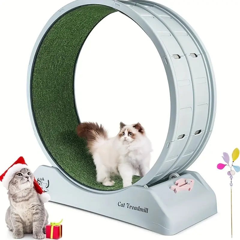 all dogs products all cats products all small animal products