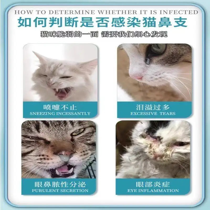 Cat Nose Branches, Sneezing, Thick Snout, Stuffed Nose, Cold, Small Eyes, Nutritional Supplements