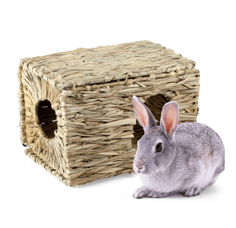 Pet Paradise Grass Haven