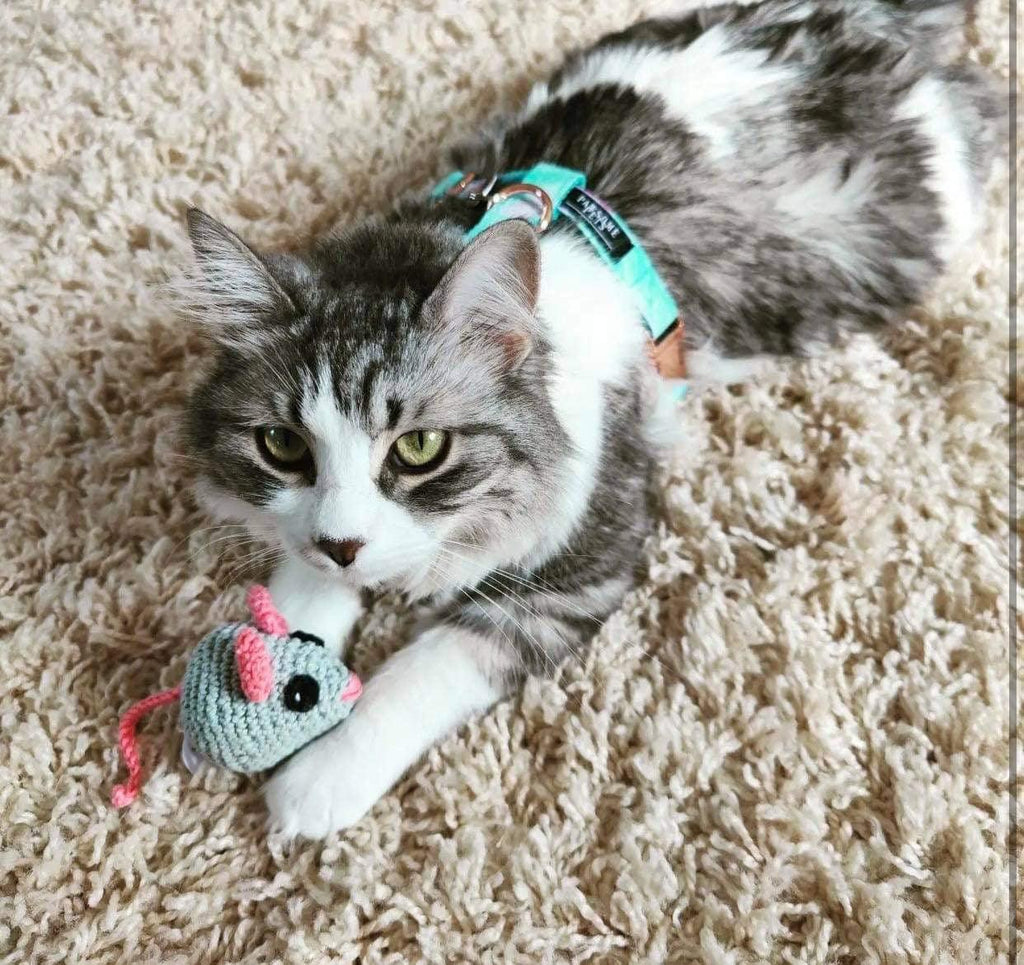 all dogs products all cats products all small animal products