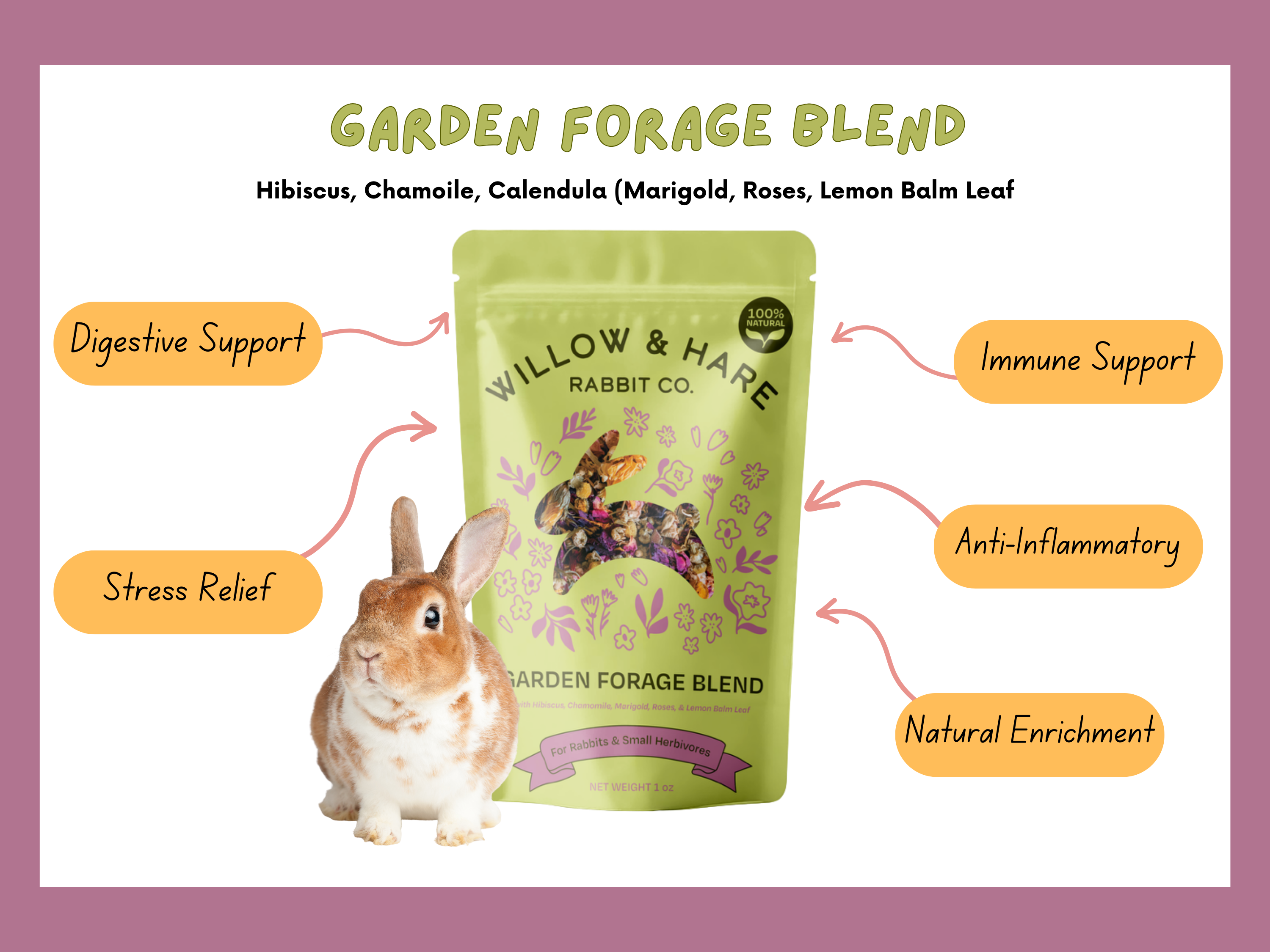 4-Pack Bunny Forage Mix Treat Collection Variety Pack