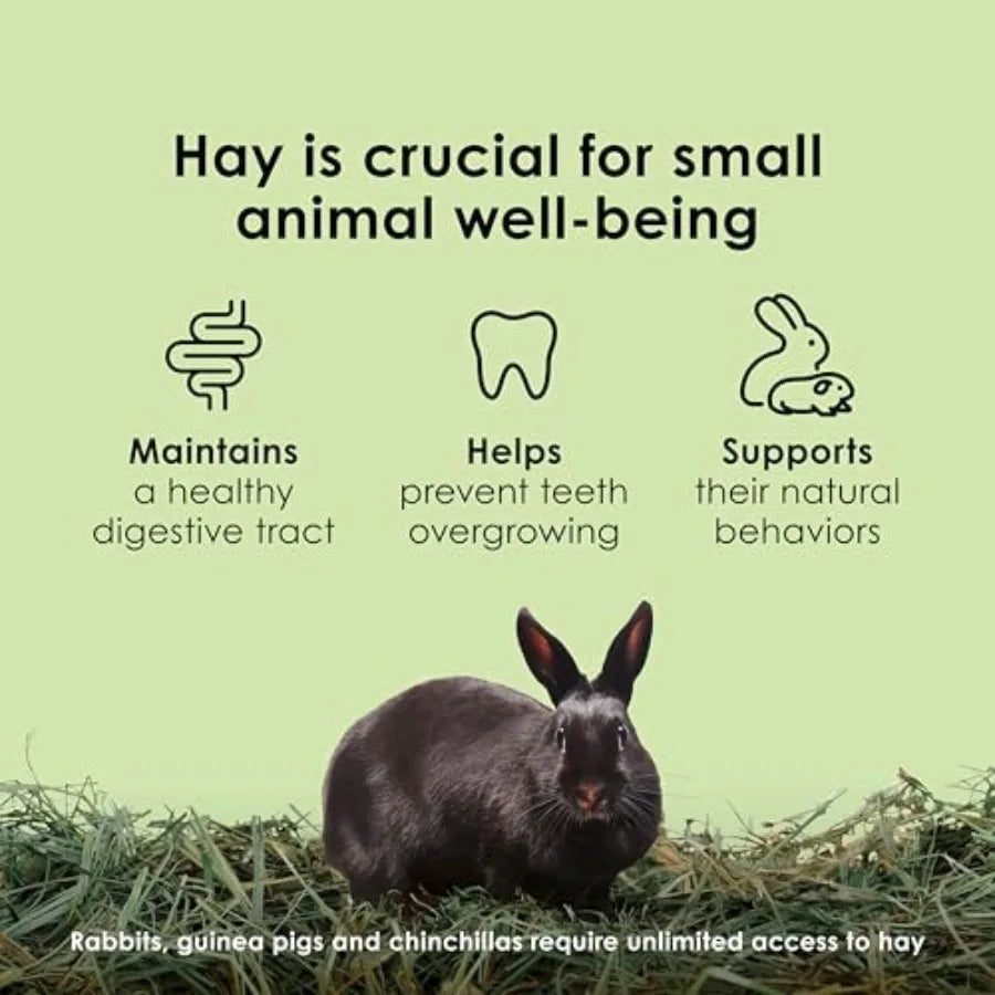 Timothy Hay High Fiber Grown Specifically for Small Animals Rabbits Guinea Pigs Chinchillas Ideal Bulk Order for Small Pets 12