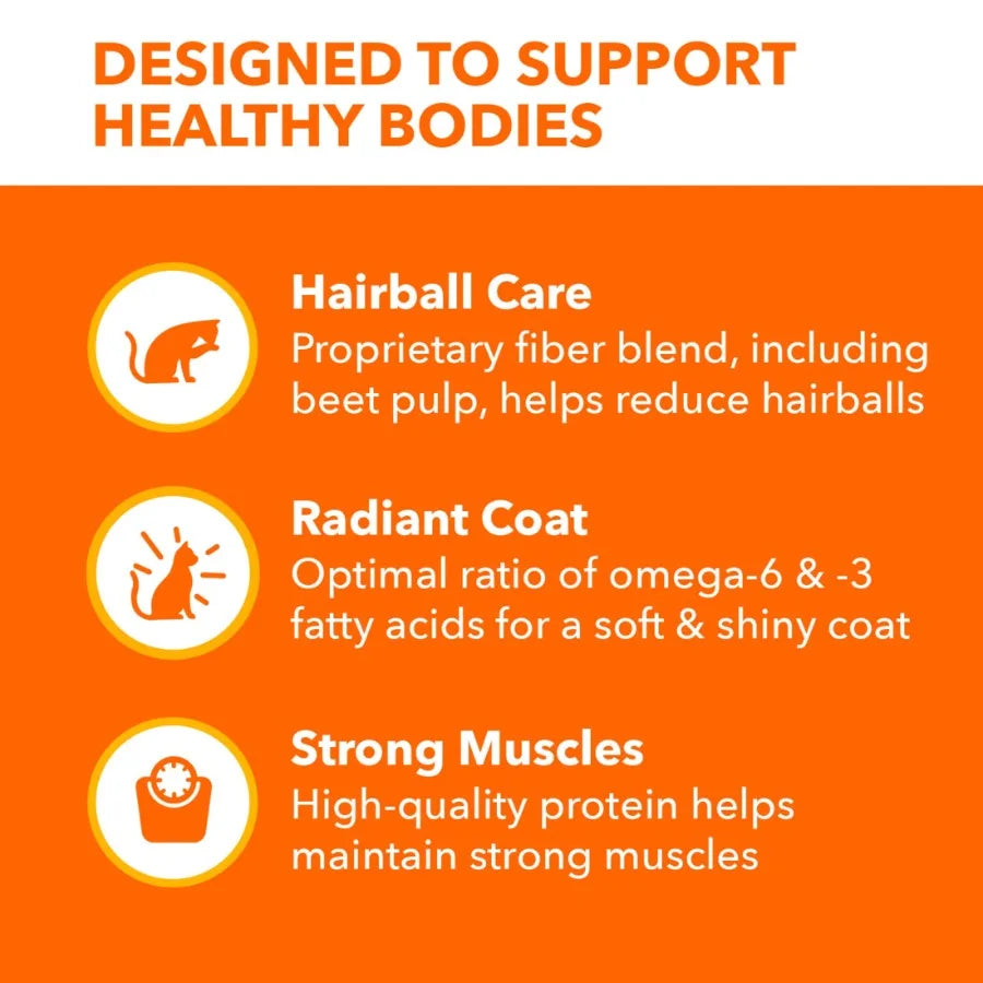 Proactive Health Chicken and Salmon Dry Cat Food for Adult Cats, Natural Ingredients with Omega-3 for Shiny Coat and Digestive