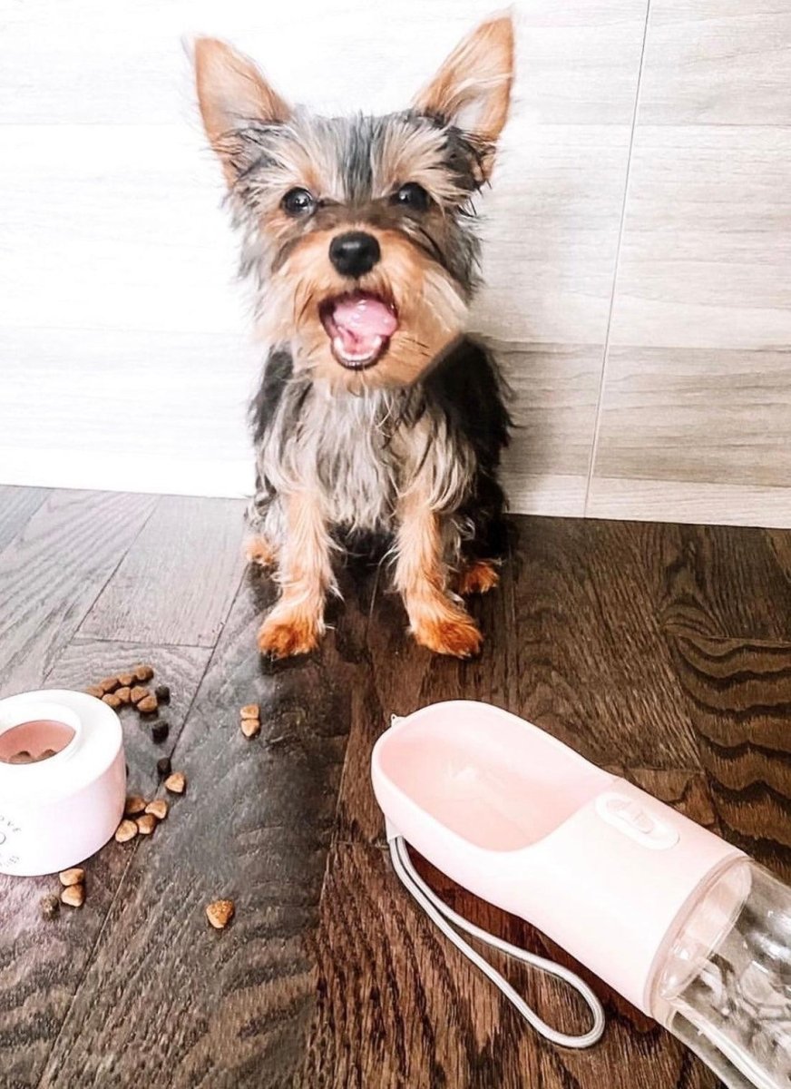 all dogs products all cats products all small animal products