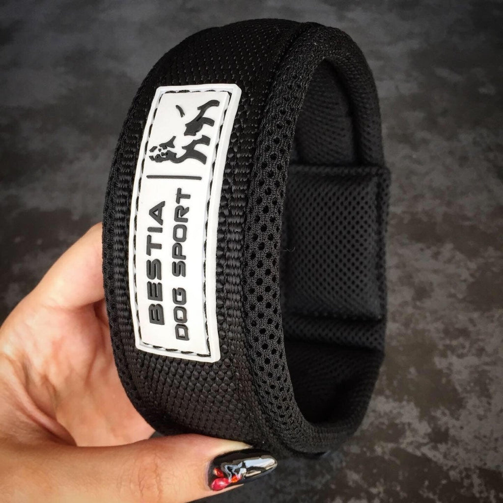 all dogs products all cats products all small animal products