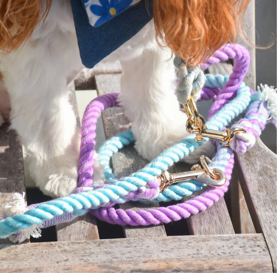 all dogs products all cats products all small animal products
