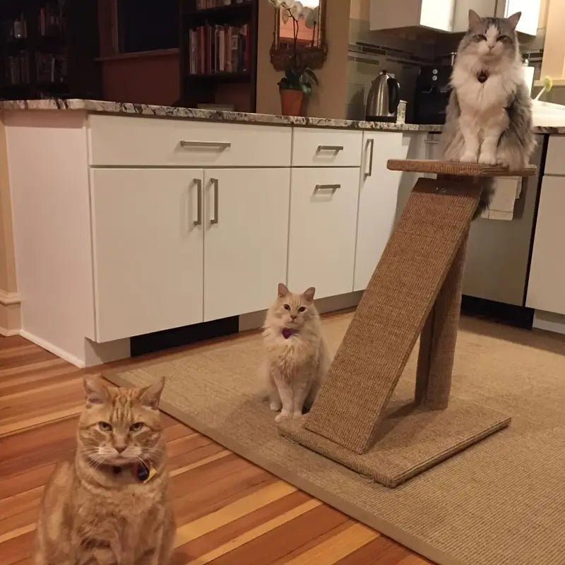 all dogs products all cats products all small animal products