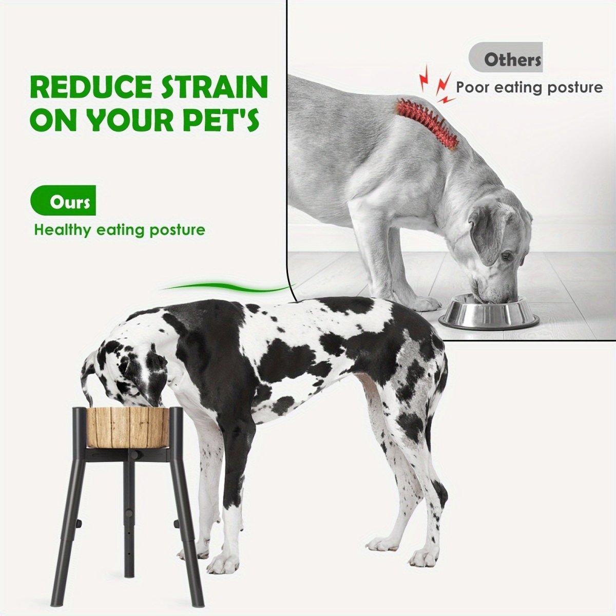 all dogs products all cats products all small animal products